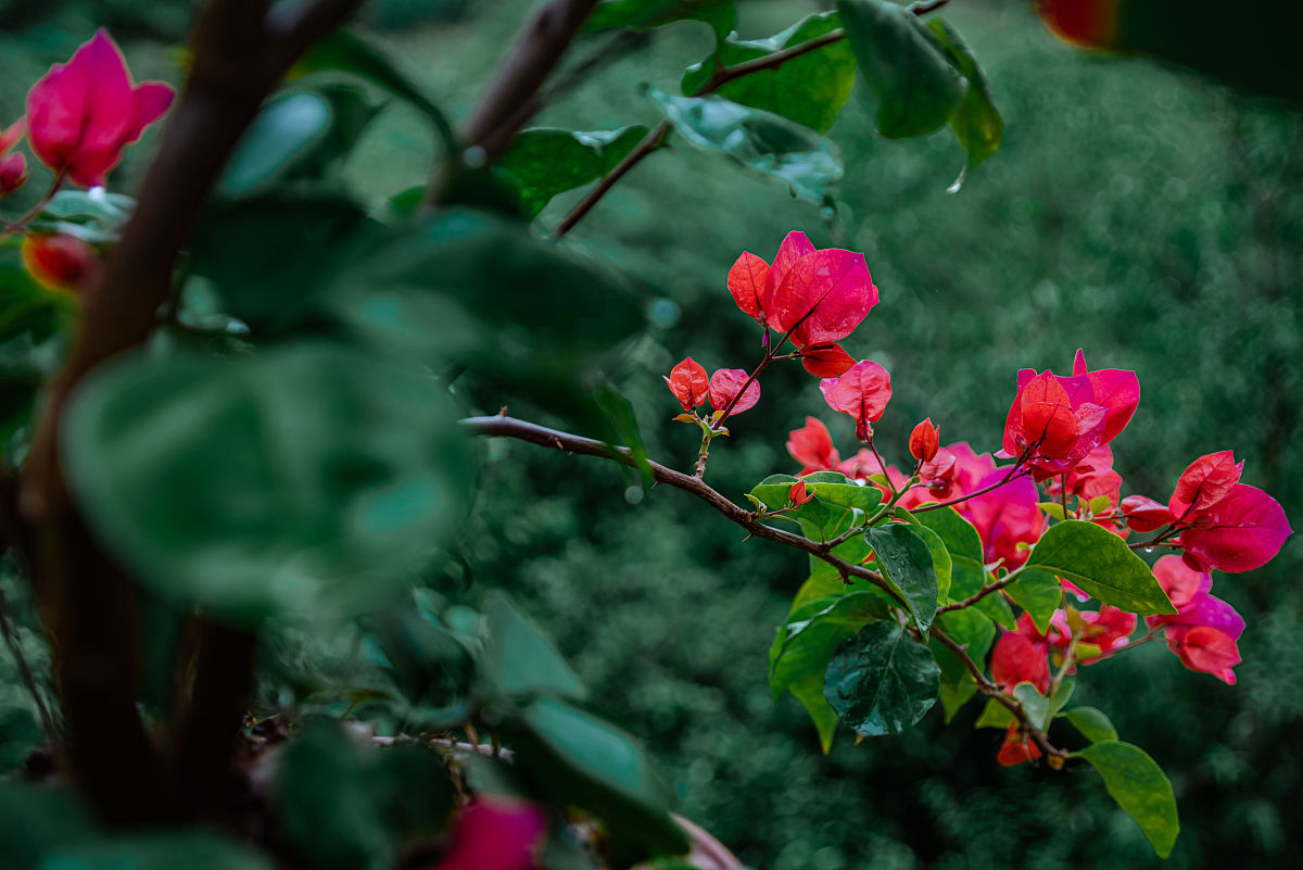 江西于都职业中专招生咨询电话 - 如何选择适合自己的专业？