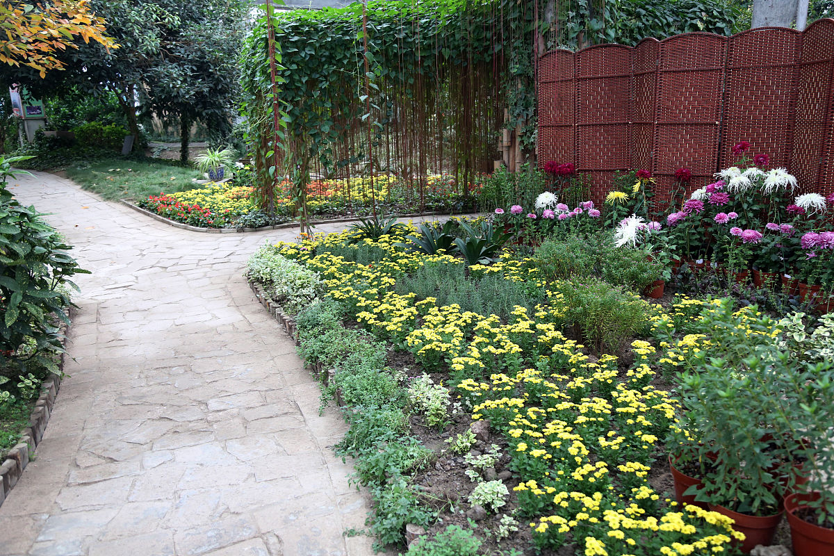 重庆园林技术专业哪个学校好用