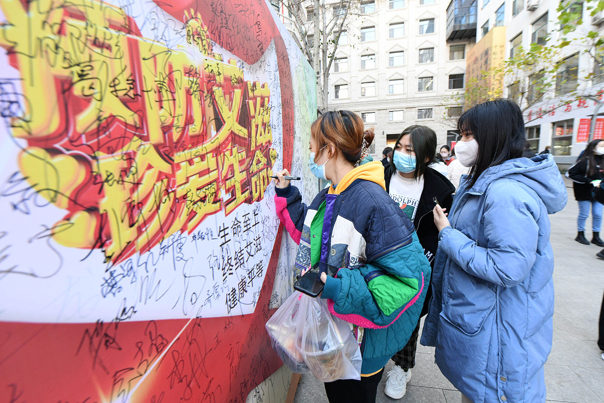 河北美术学院怎么样？探寻其独特的教学特色