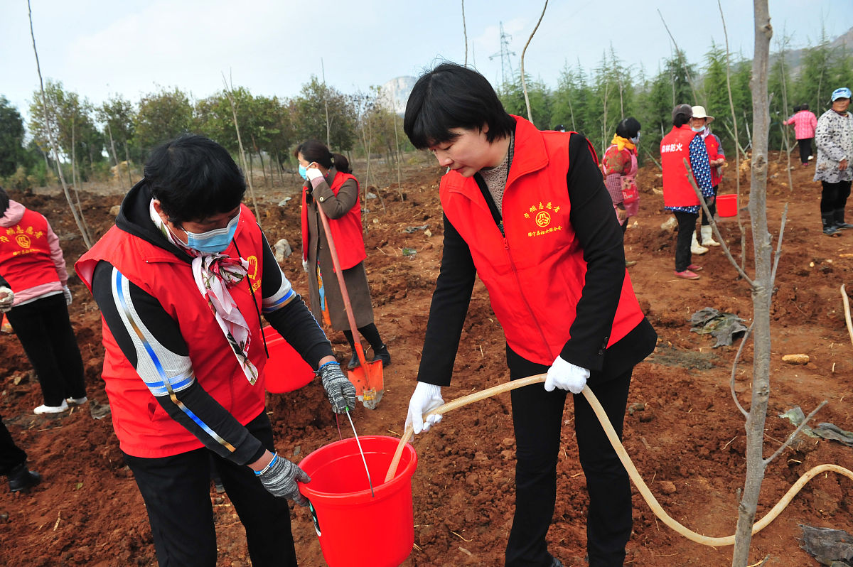 锡流咏尽，百年初心，赓续红色精神：暑期文化科技卫生‘三下乡’社会实践项目立项书