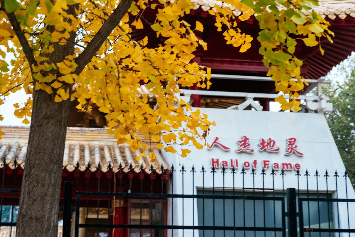 2019年渭南红星中等职业学校招生简章