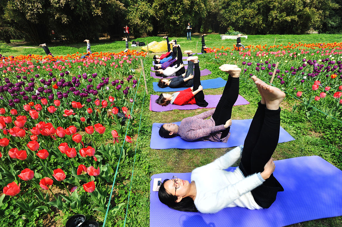 描写春天的作文：感受新生与希望的美丽季节