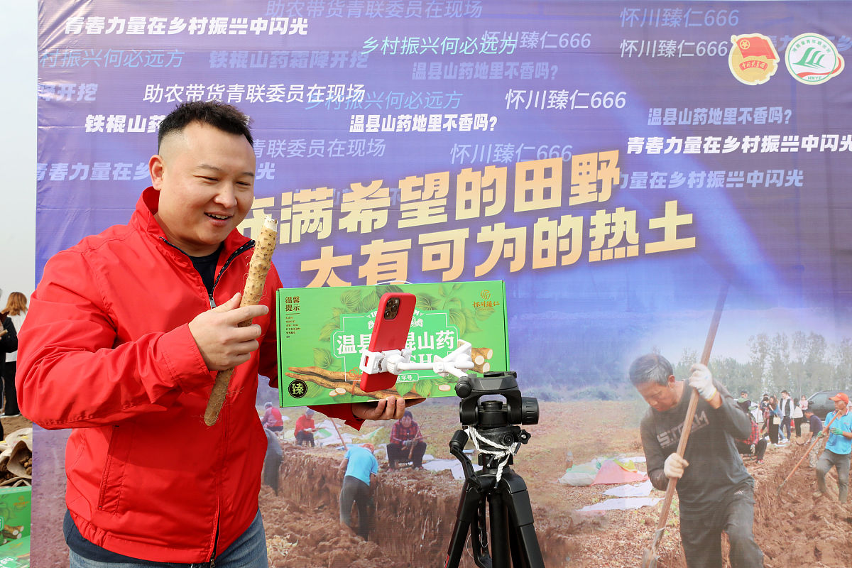 铁棍山药直播营销效果：品牌知名度与消费者认知的影响