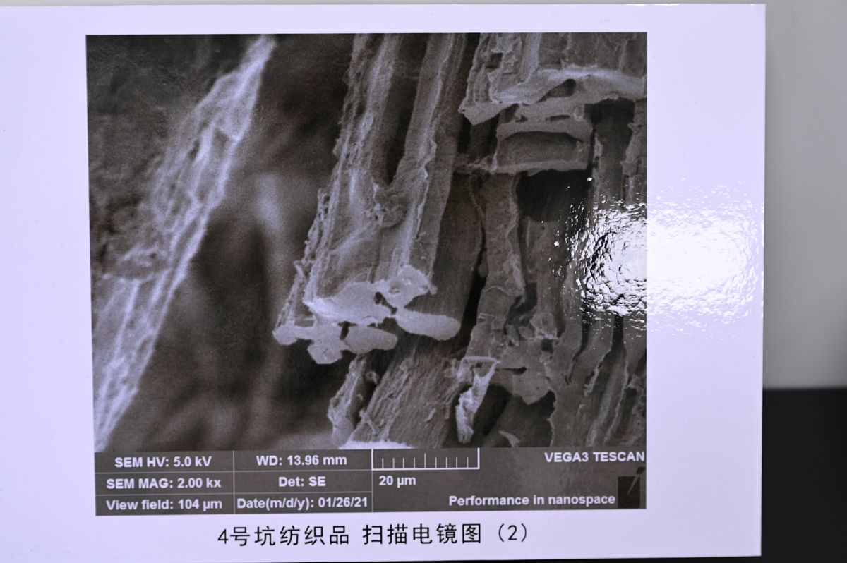 单层极限下范德华晶体中的层依赖铁磁性