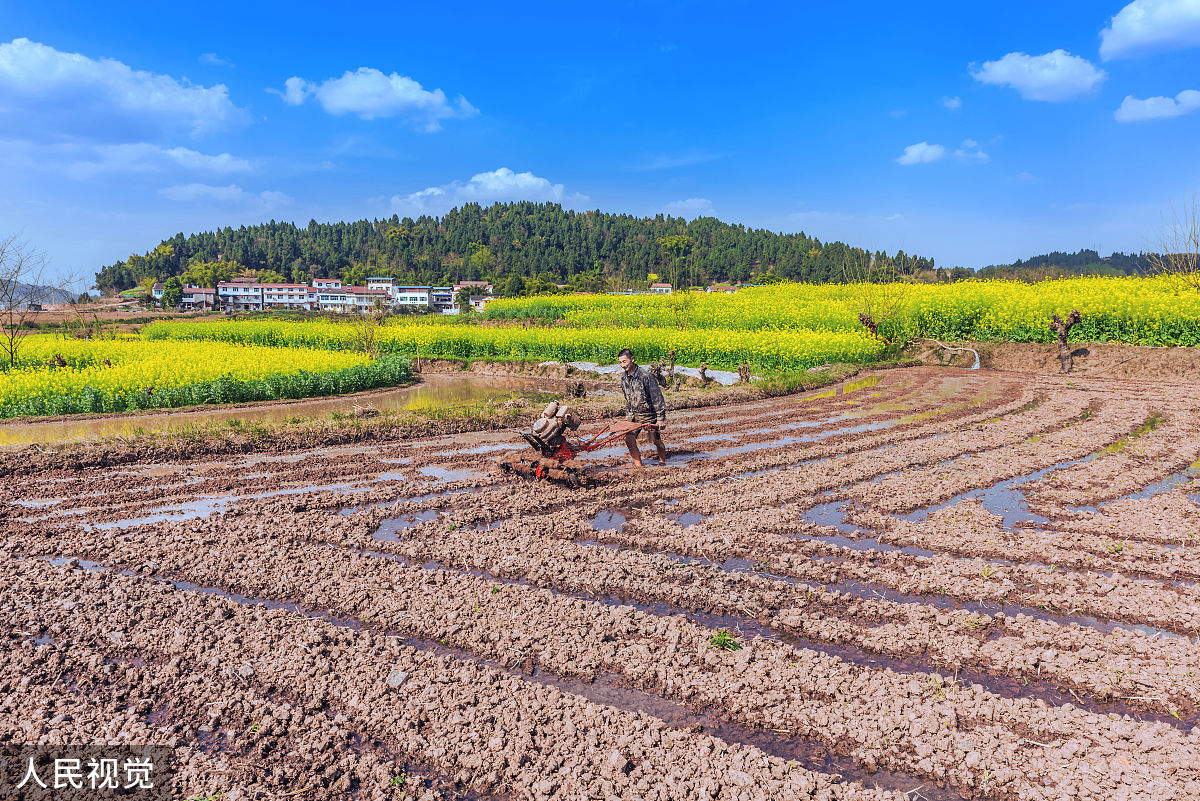 2020年3月10日,四川省安岳县岳阳镇中七村的村民正驾驶着小型多功能微