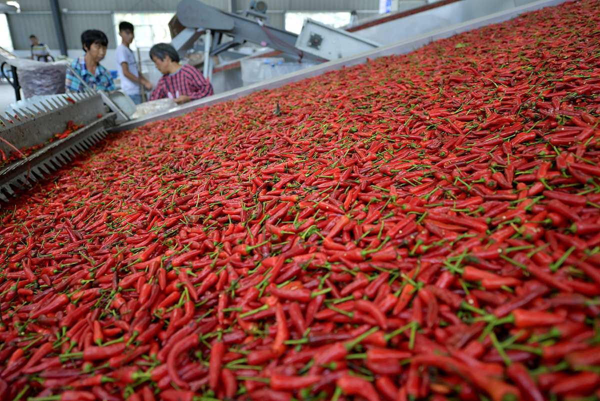 湖北生态工程职业技术学院汽修前景好不好