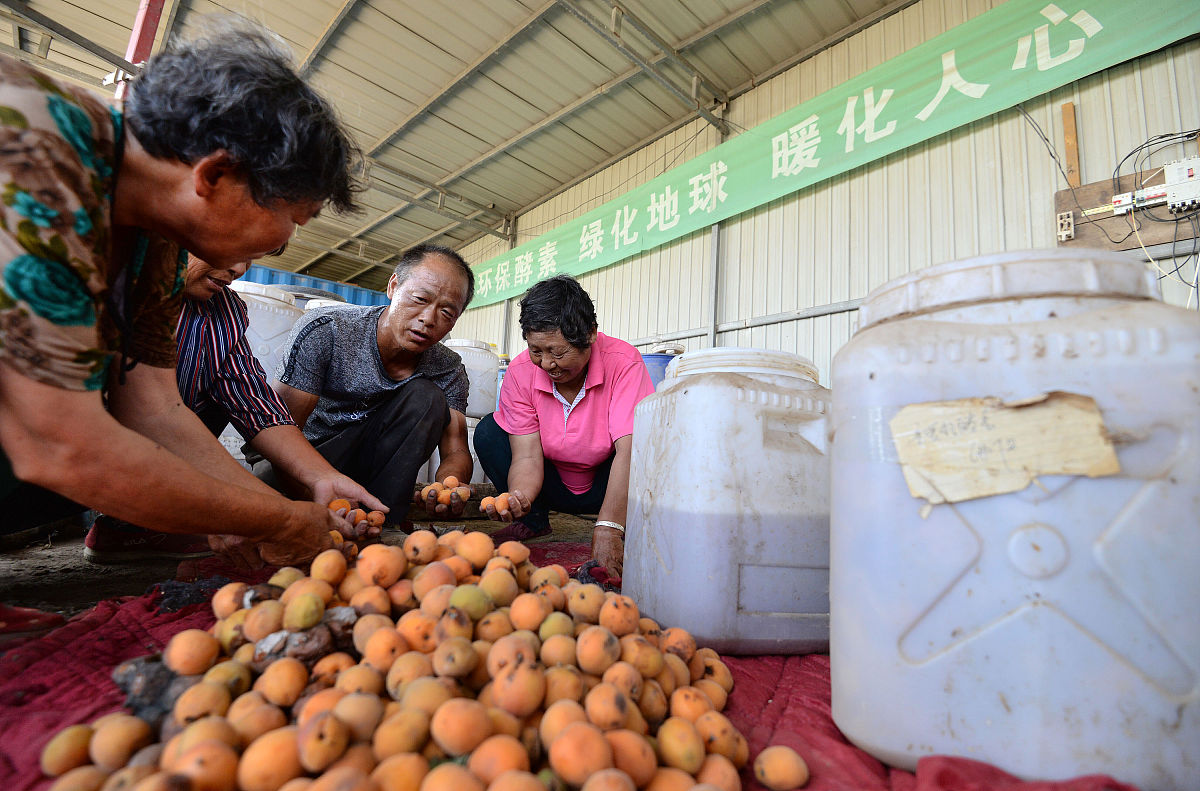 关于商洛核桃产业发展对策中加强政府扶持企业建设的建议不得少于800字。