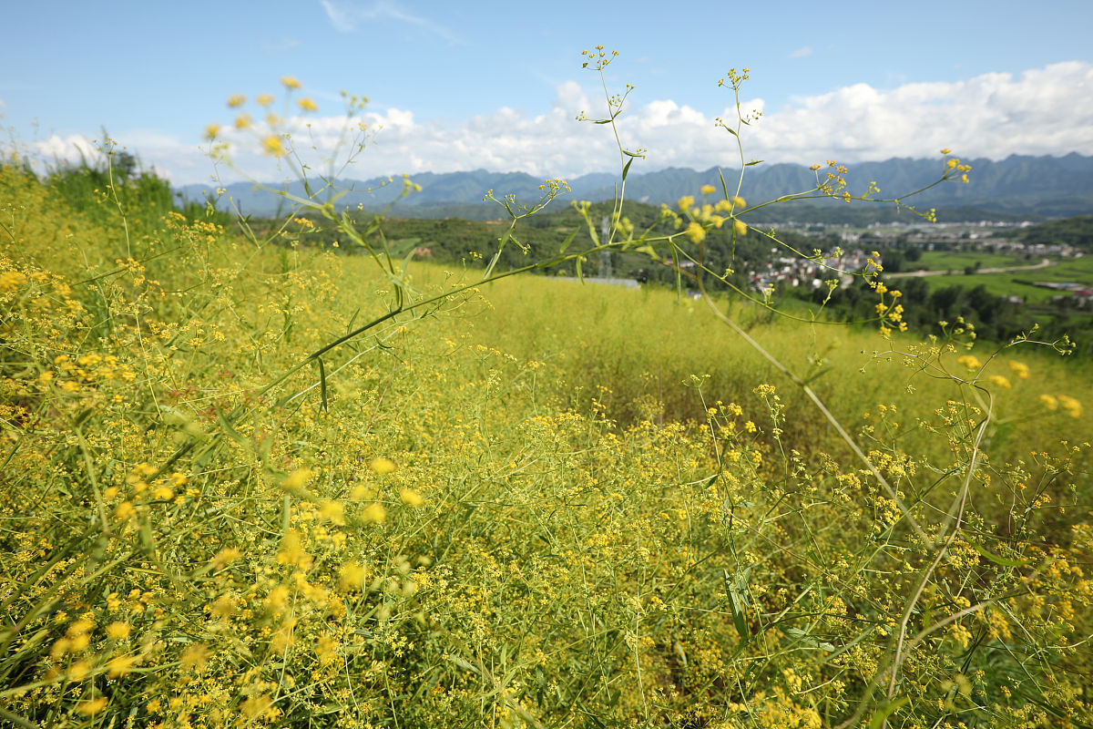 甘肃省医药学校2023年有哪些专业