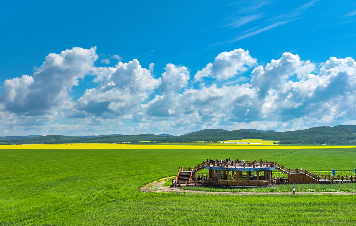 呼伦贝尔怎么样