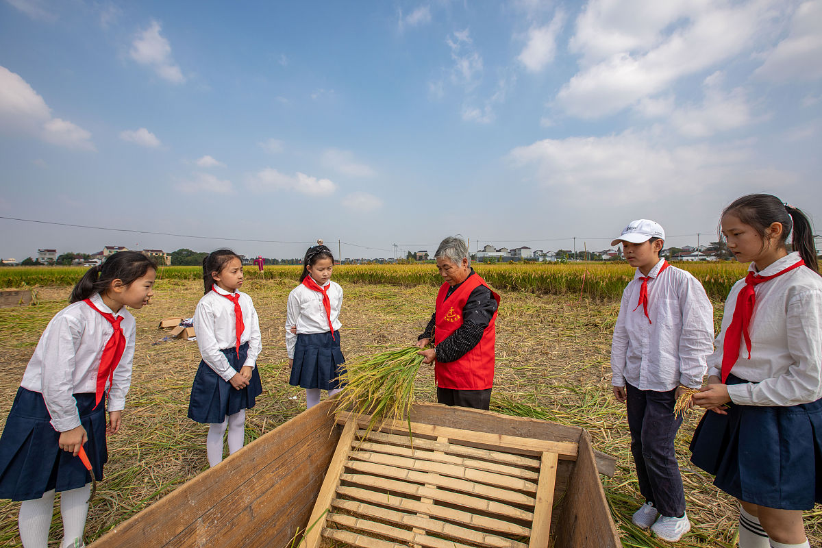 贵阳中专职业学校学情分析：学业状况、身心健康和社会实践