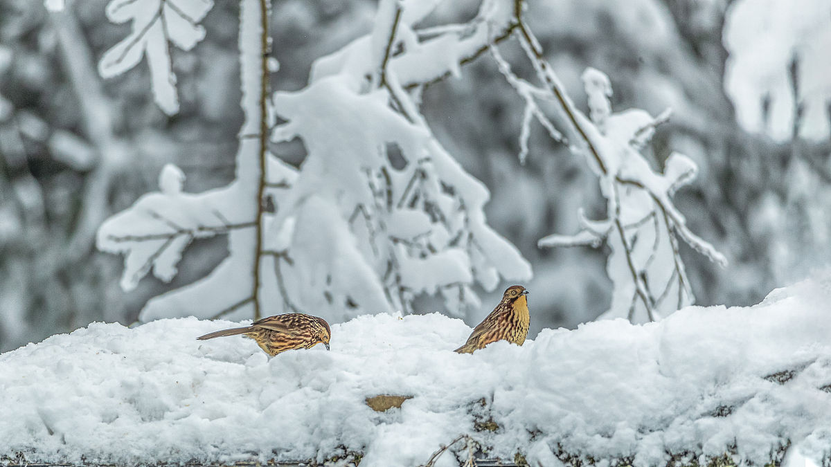 重庆南川隆化职业中学校2022年招生简章