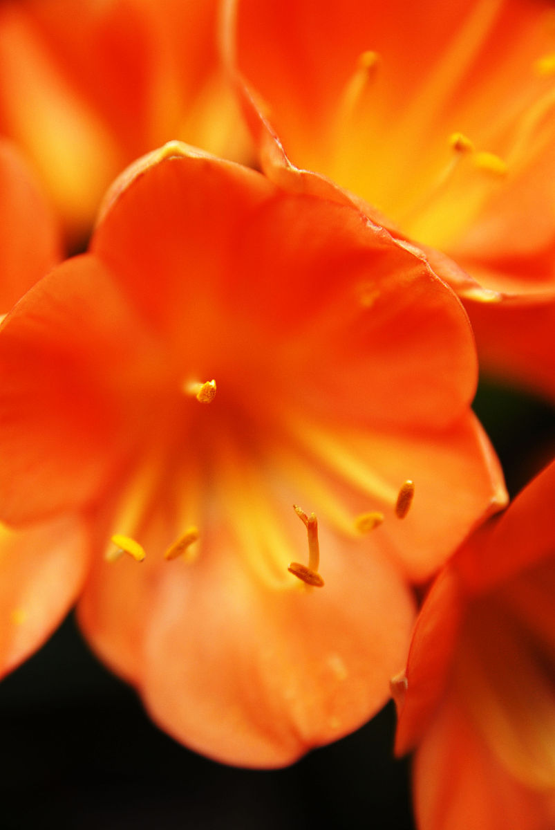 外部环境分析 vs 内部环境分析：异同点及案例说明