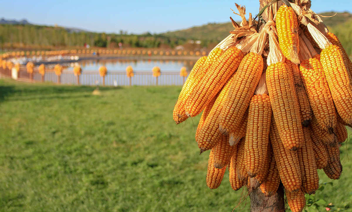 河北旅游职业学院电脑艺术设计专业就业方向有哪些