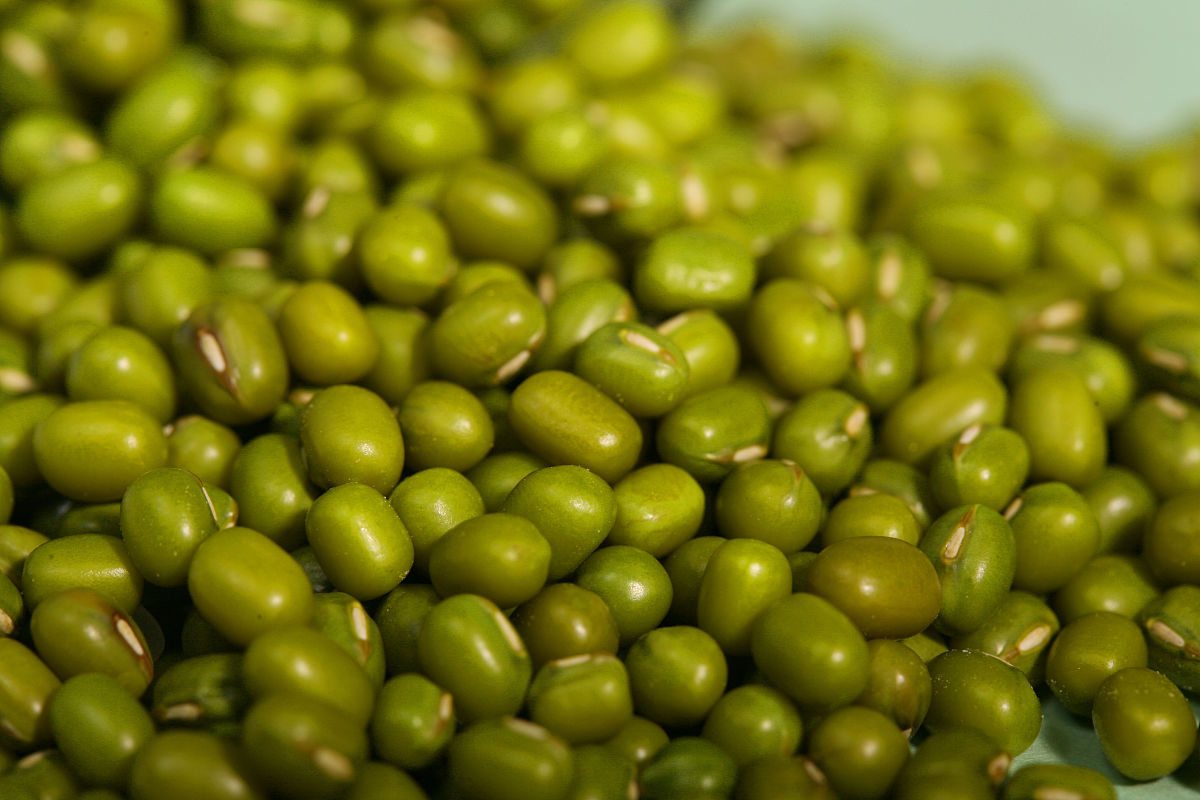 新号投豆+：选择套餐还是相达人相似？