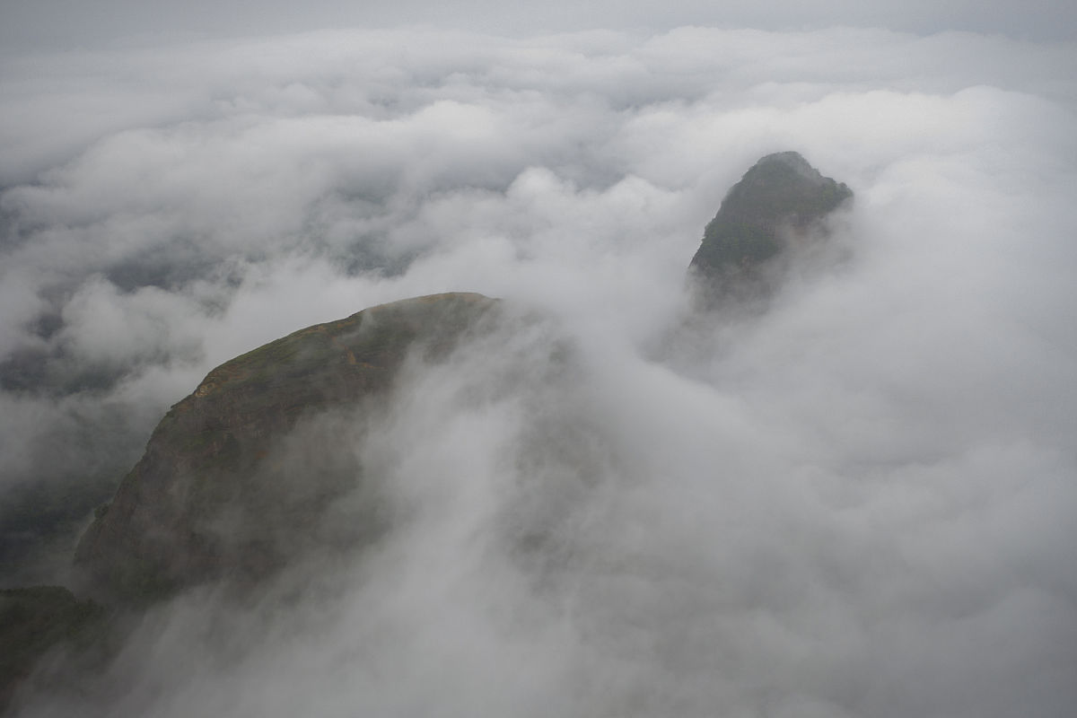 广西2021年中专学校就业率高吗？哪些专业前景好？