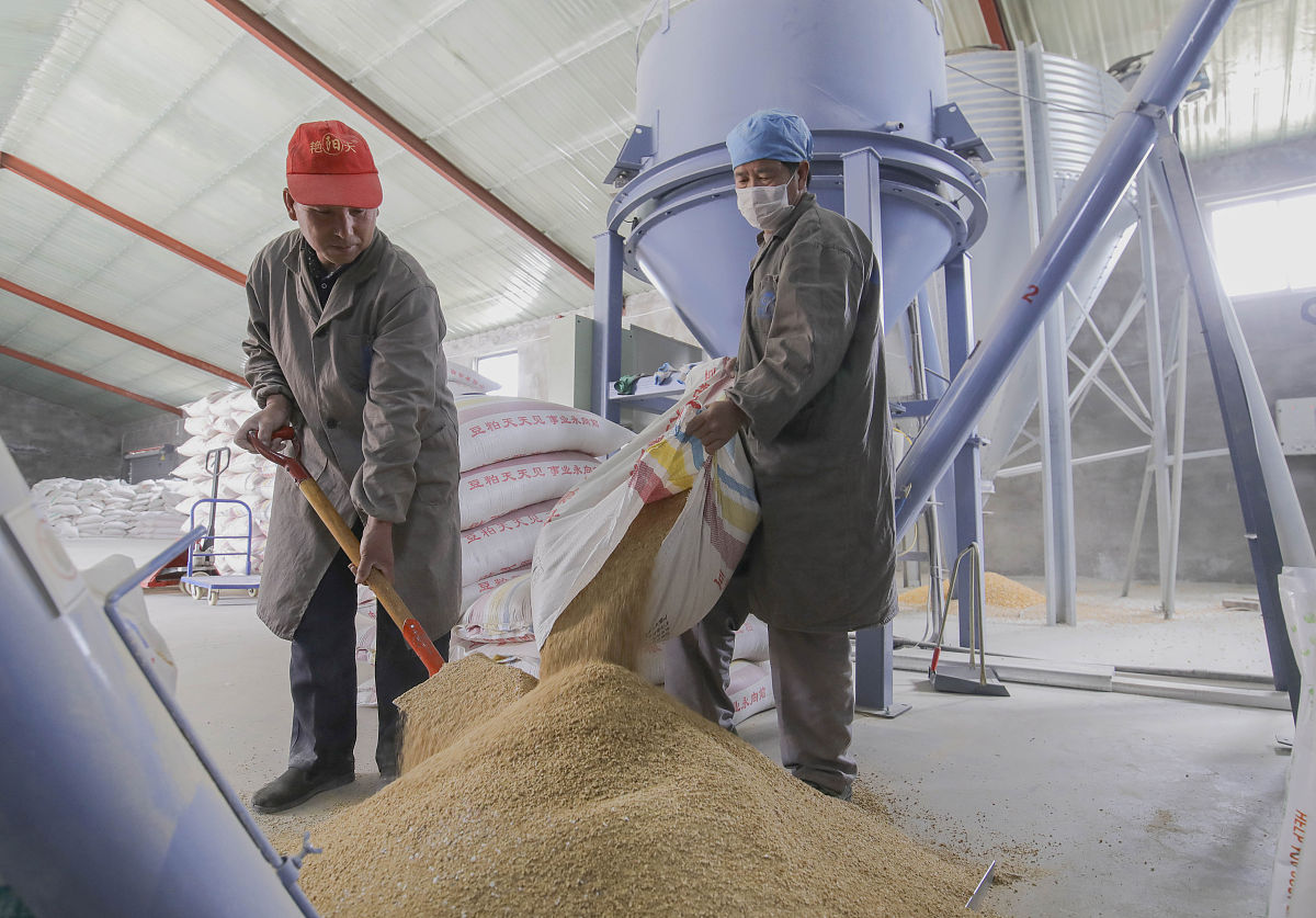 粮油储运与检验技术就业前景广阔，未来发展空间巨大