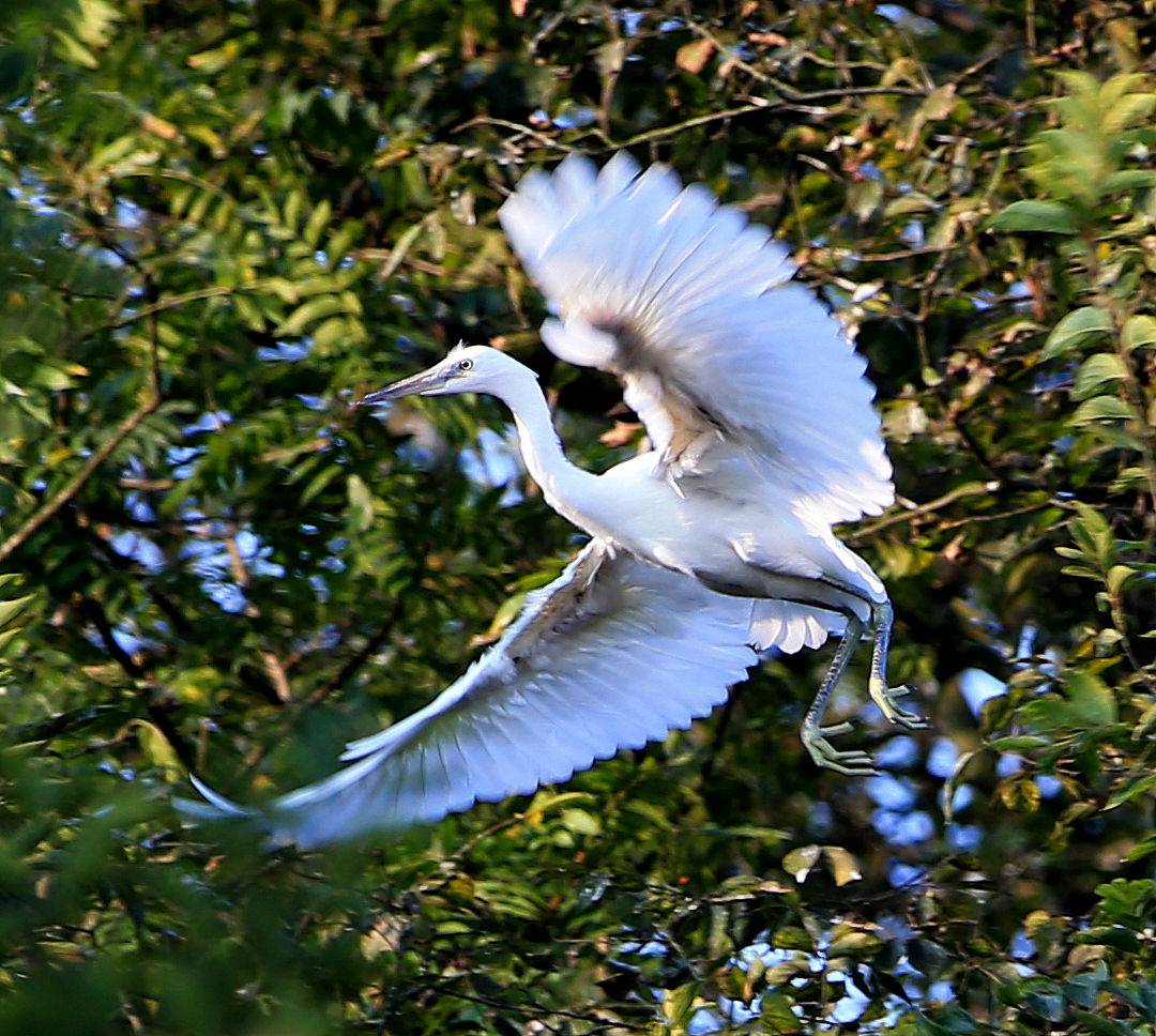 安徽中专学校排名_安徽2023年中专学校有哪些-安徽中职学校