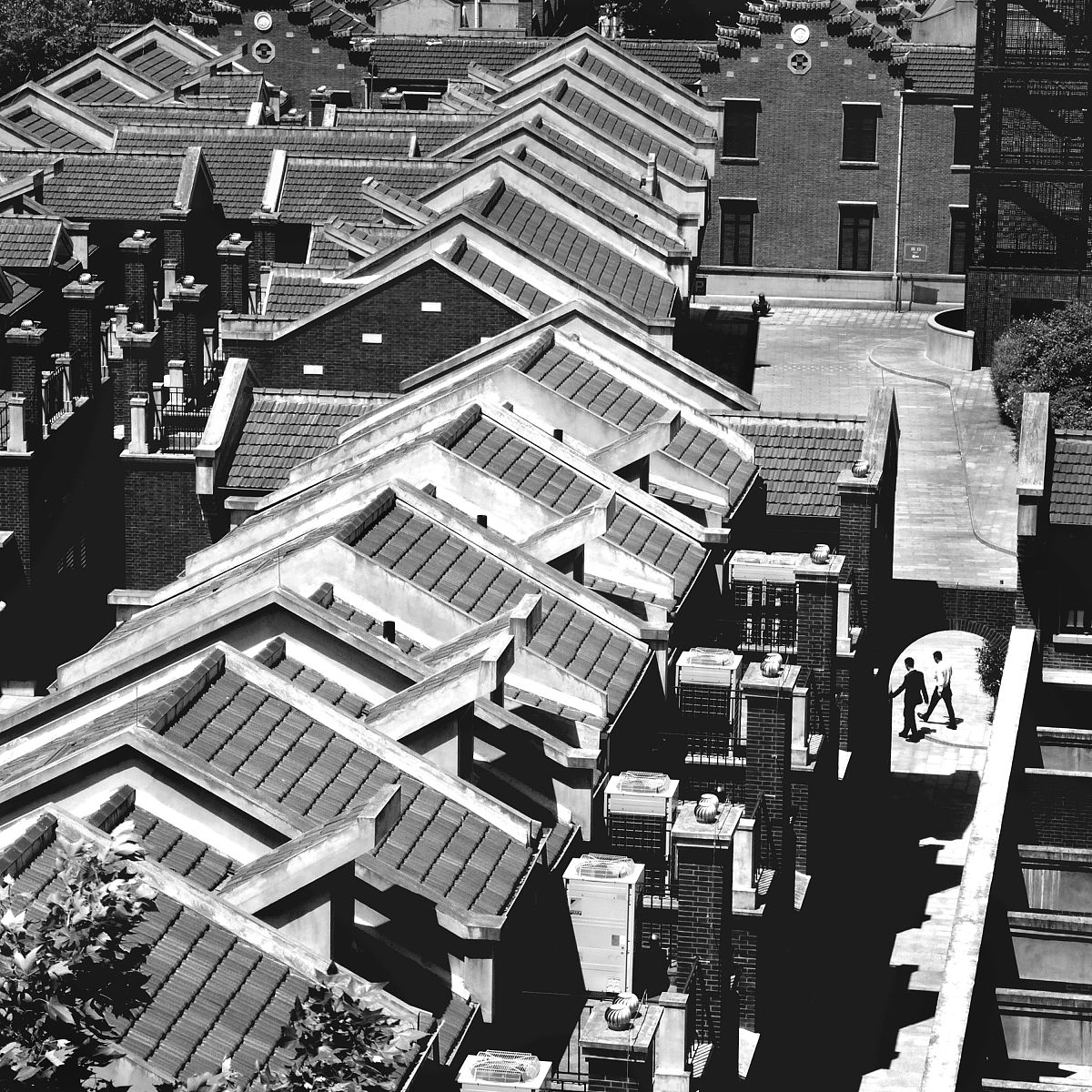 写论文可以运用什么理论方法