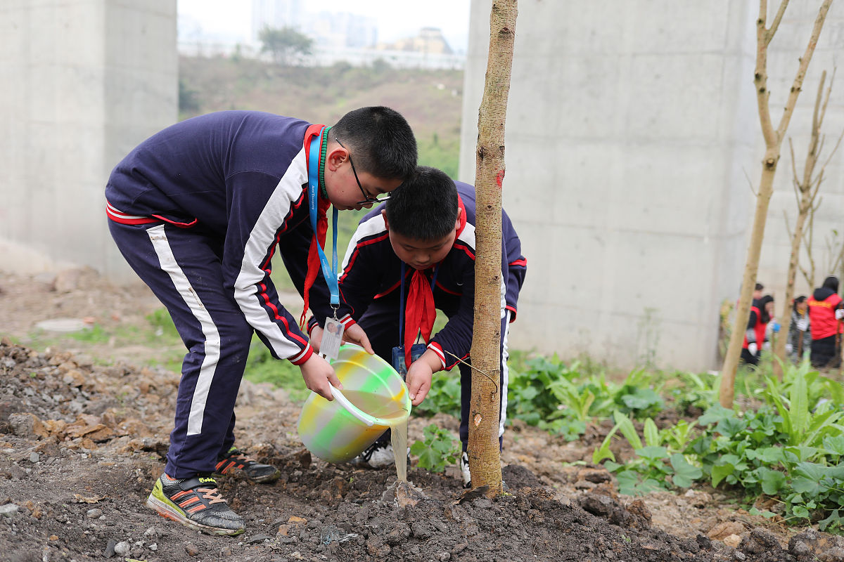 如何理解劳动教育课