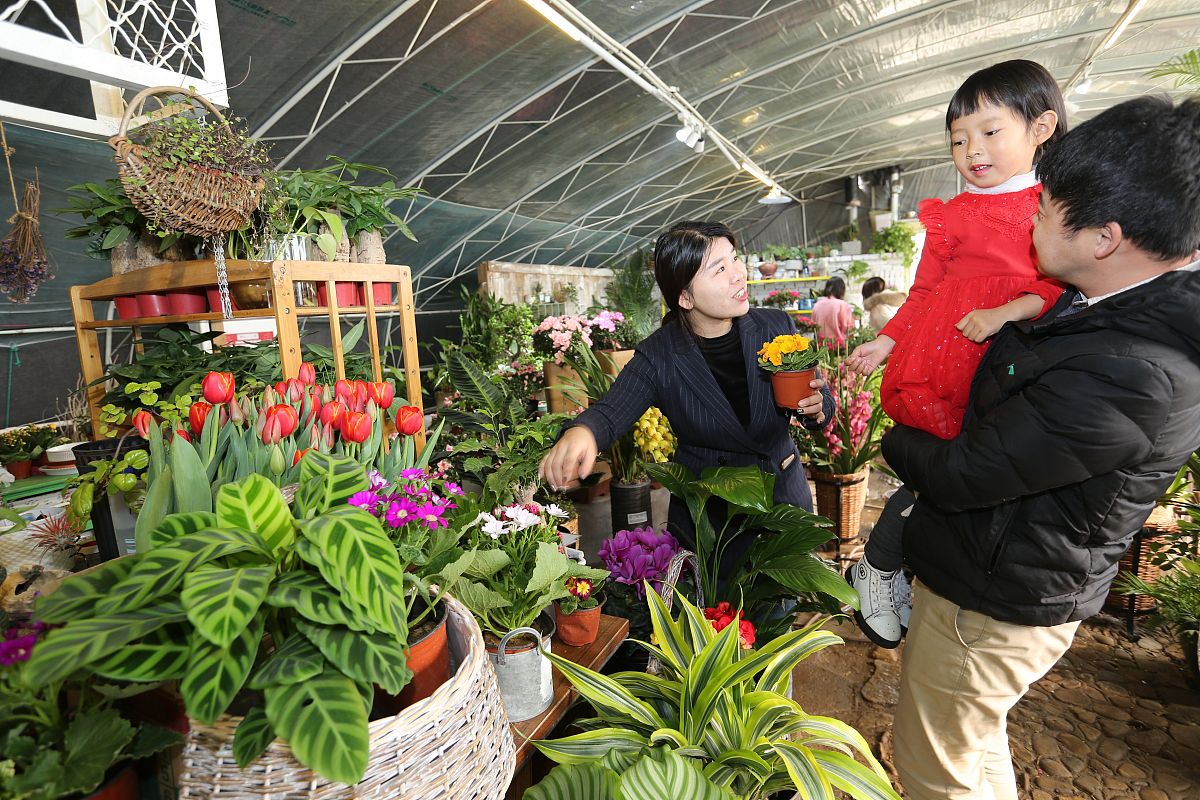 农业科技小院科普图书项目：应用范围广泛，普及前景光明