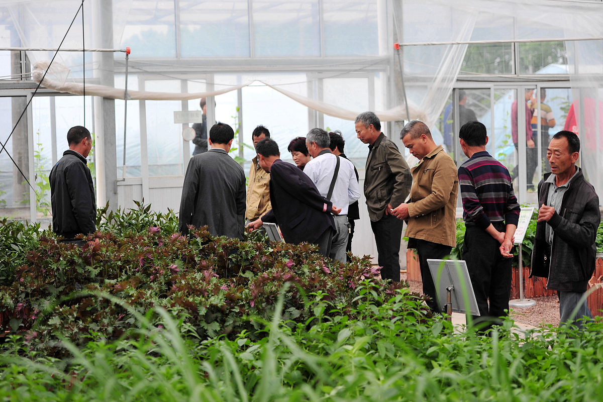 黑龙江农业职业技术学院应用俄语专业课程设置详解