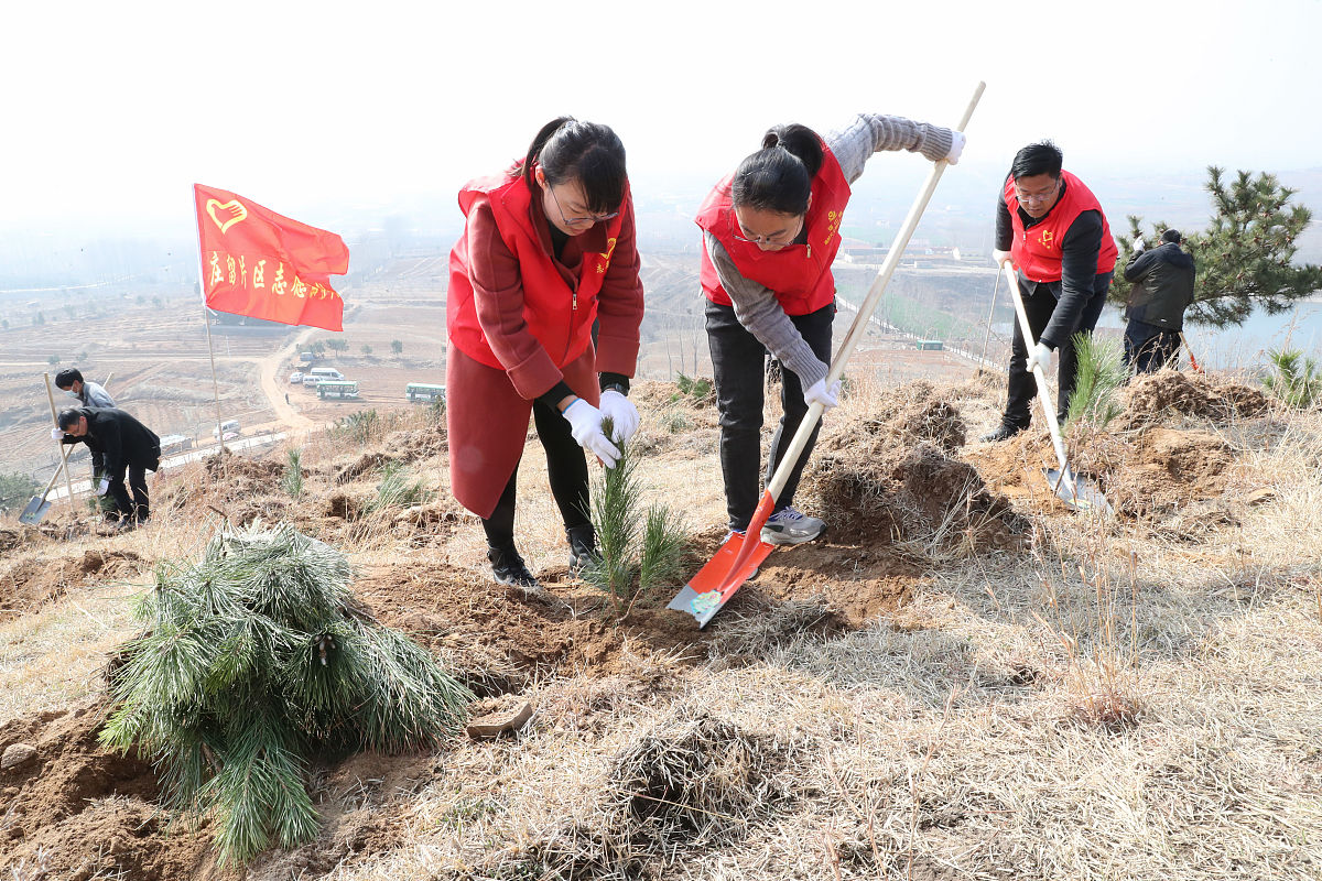 组织团员积极参与贫困村植树活动