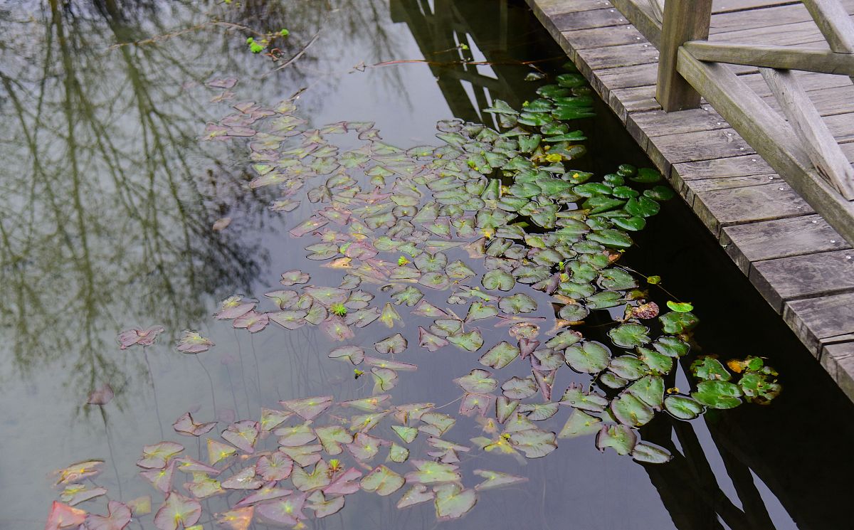 农村环境监测专业就业前景广阔：趋势与发展方向深度解读