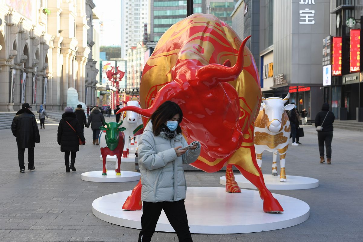 2021年1月1日,在沈阳中街街头,十头"彩牛"与市民见面,引来过往市民纷