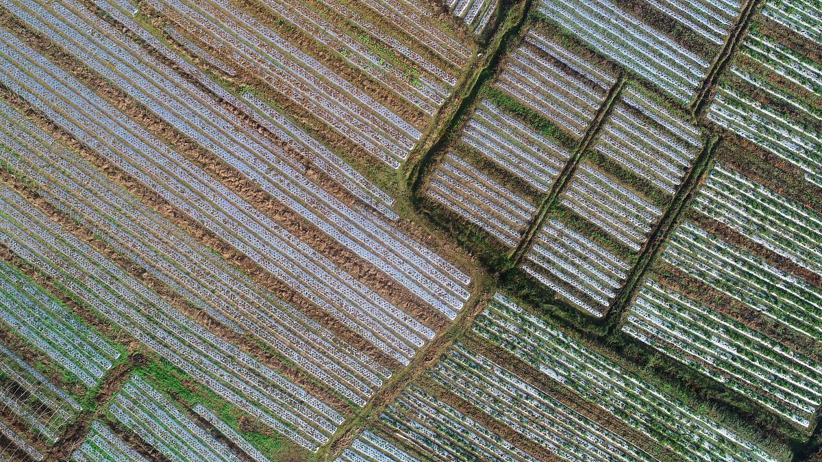 2023年蕲春李时珍中等专业学校招生专业都有哪些-好不好