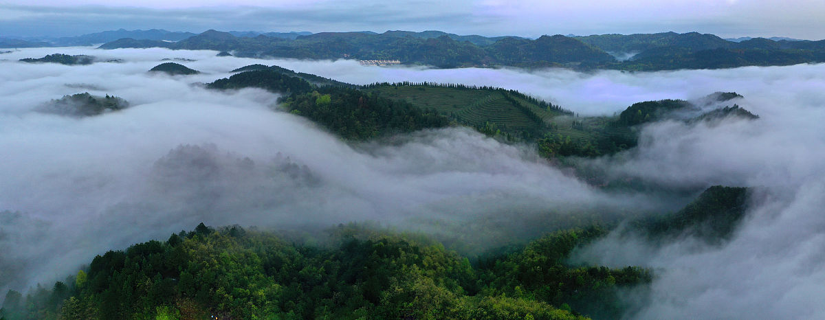 贵阳铁路工程学校开设了哪些专业无人机应用技术专业有哪些课程