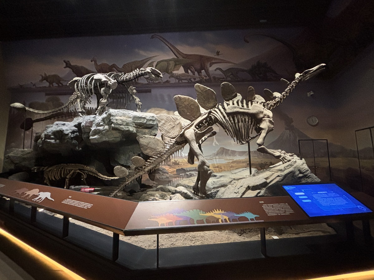 写一篇观大连自然博物馆后对 自己的人生观世界观价值观产生的影响