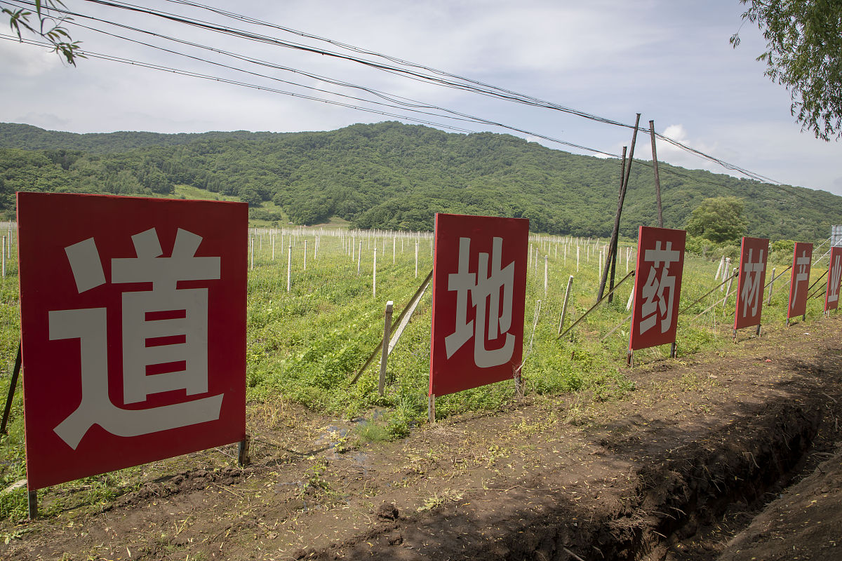 湛江市交通职业技术学校2023年招生简章 - 值得关注的亮点