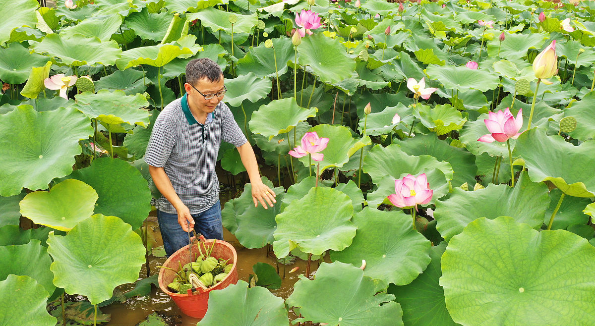 稻盛和夫《劳动的喜悦》读后感：发现人生最大的喜悦
