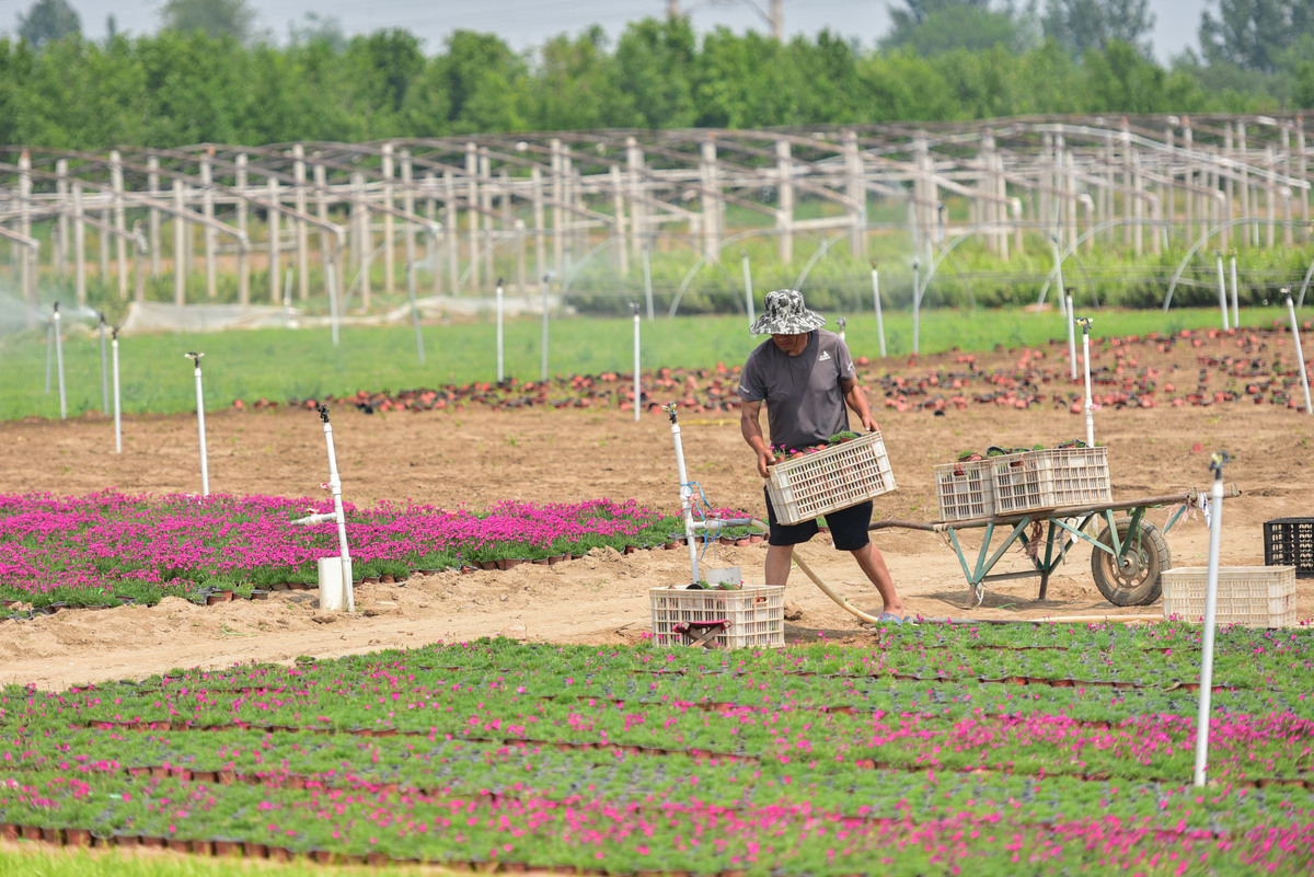 科技助农调研：工作心得与未来展望