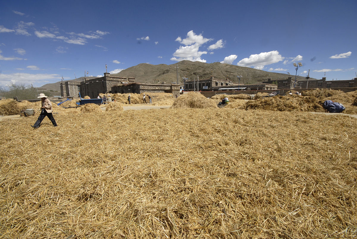 2022年安徽粮食经济技师学院招生简章 - 报考指南