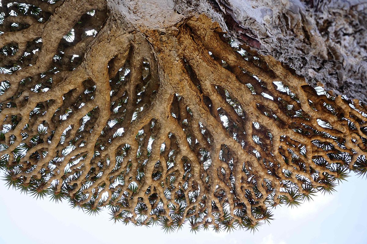帮我写高中生物课本第一章教学设计