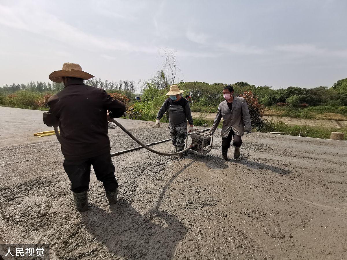 白蚁等堤坝害虫隐患排查与治理：项目组织架构及人员配置