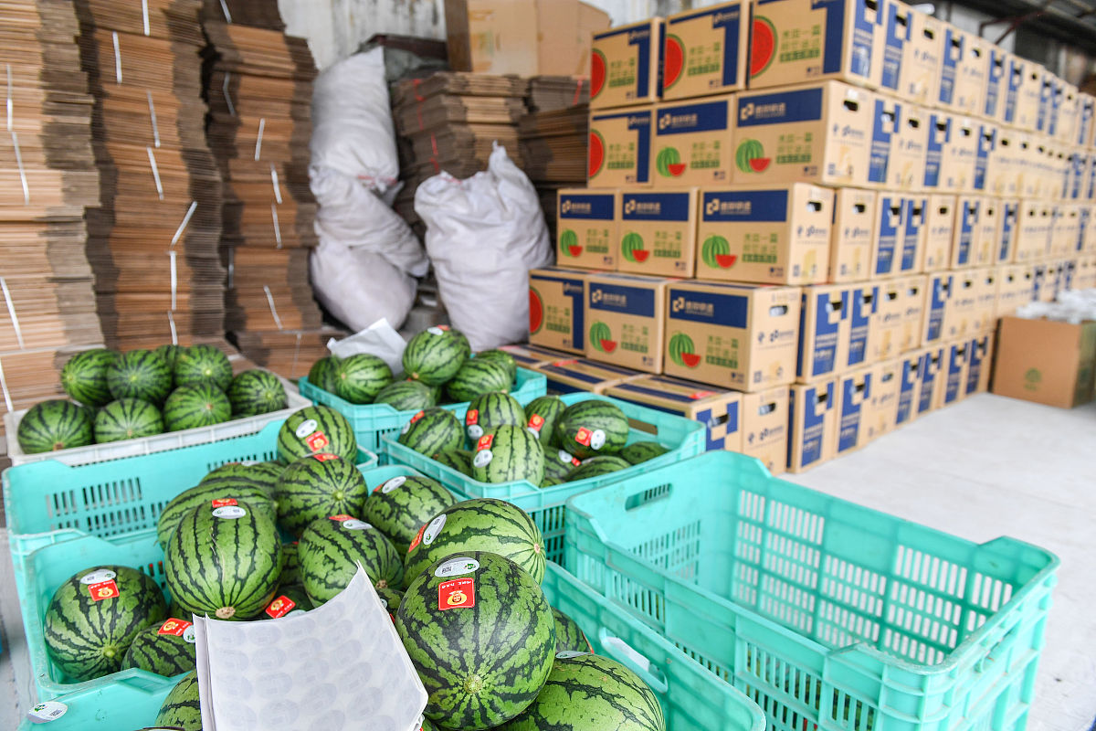 农产品营销与储运专业有没有行业前景