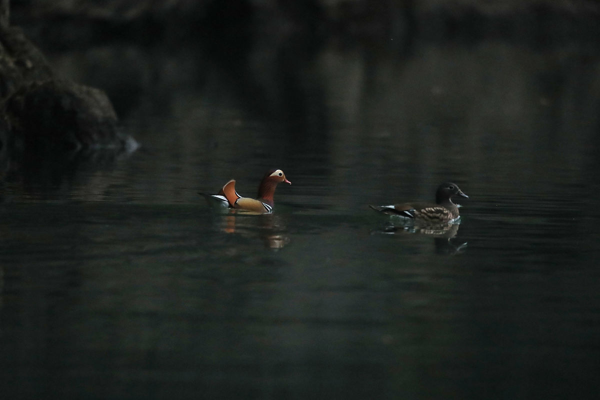 石阡商业职校2021年招生简章