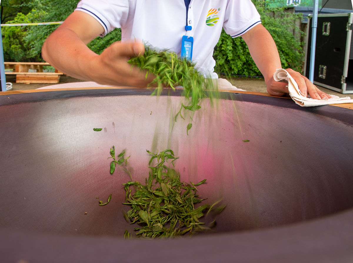 黑龙江农业职业技术学院园艺技术专业专业就业方向有哪些