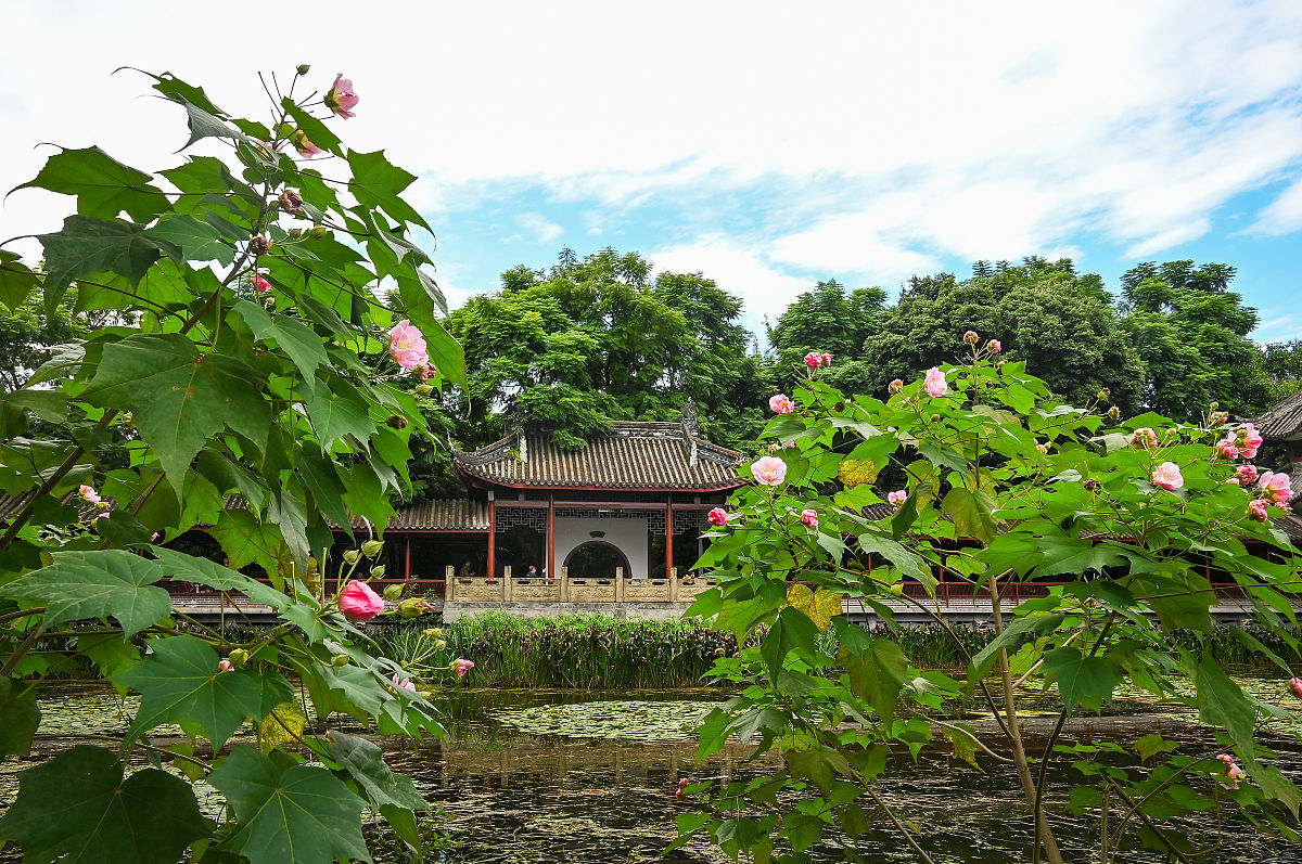 成都2021年护理学校在哪里