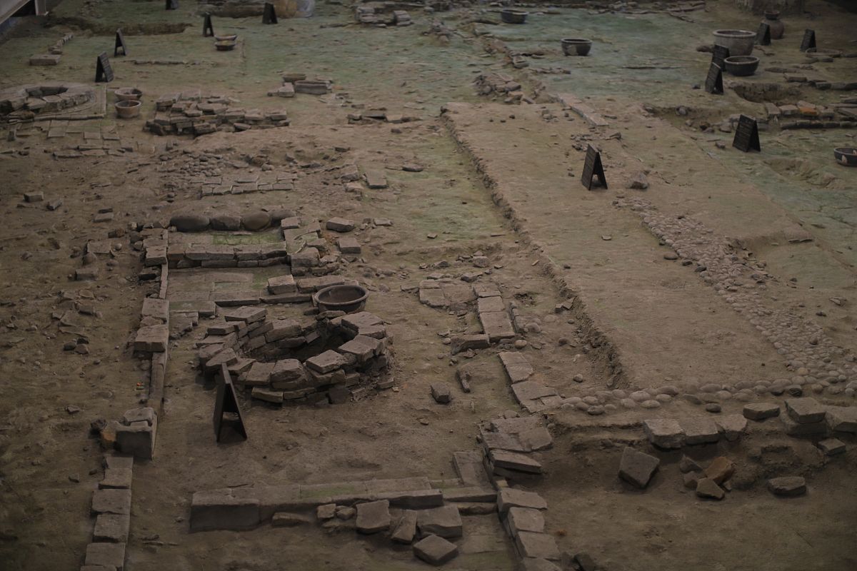 举一列考古发掘报告的名称及内容简介