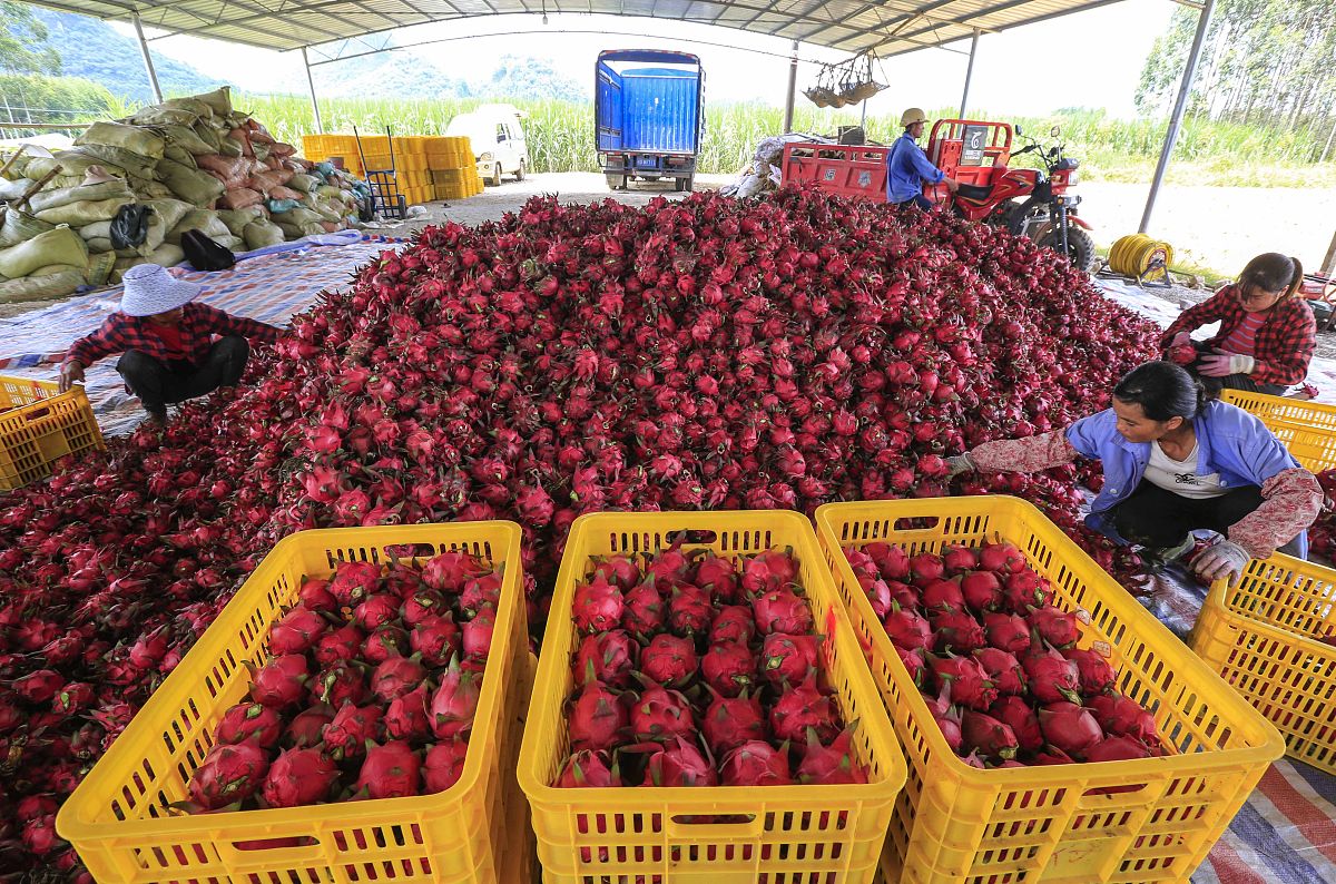 柳州工业职业技术学校2021年招生条件是什么