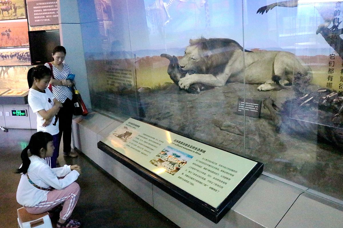 北京自然博物馆：塑造我的人生观、世界观和价值观