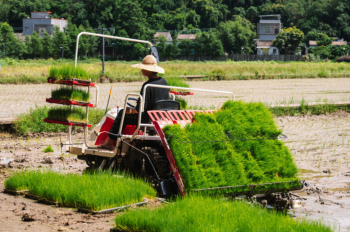 播种机械：提高种植效率和质量的利器