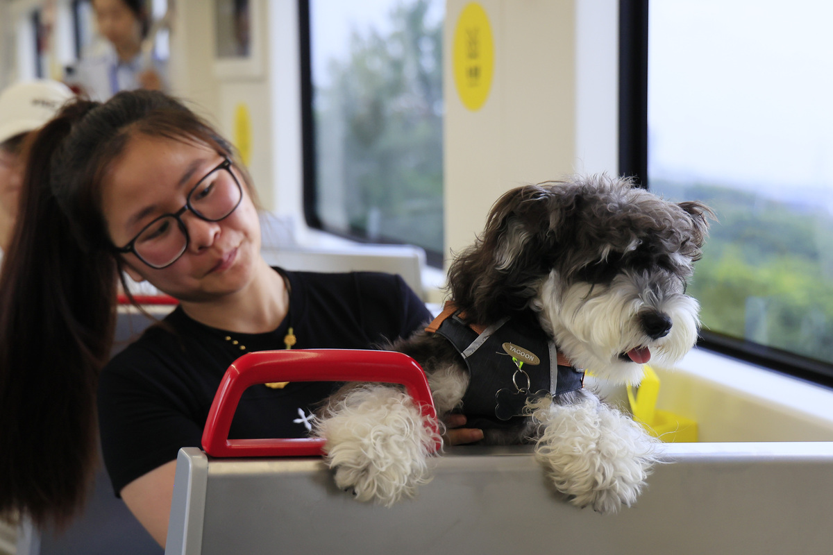 编辑狗狗去世发的朋友圈