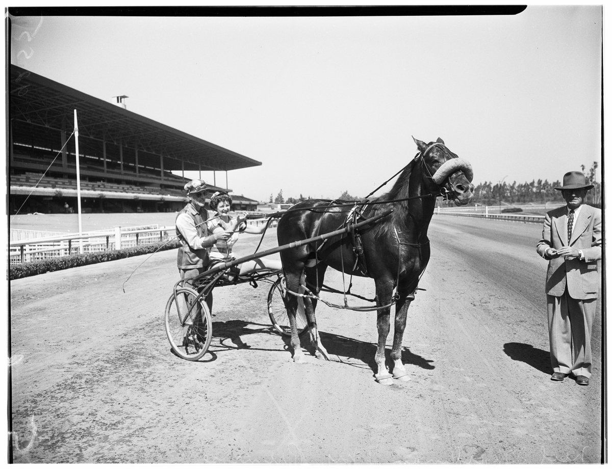 中国交通工具发展史：从古代到现代