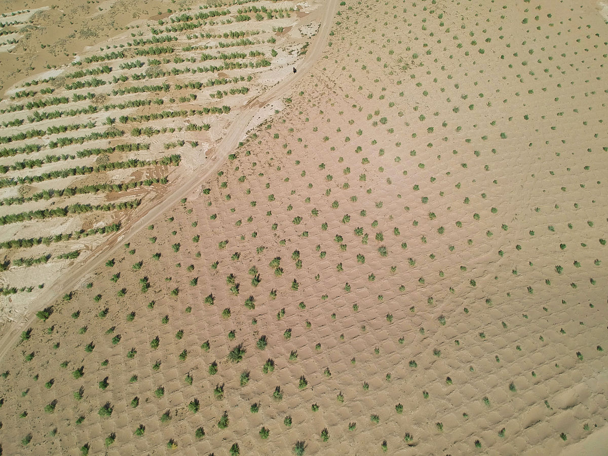 ：科学家发明了沙漠土壤化技术只要在沙漠中添加植物纤维素粘合剂和水就能将沙漠改造为可以种庄稼的土壤。现在正在沙漠里积极实验。请你展开想象的翅膀畅想沙漠土壤化技术得到大规模运用之后的世界会是怎样的景象？会发生哪些有意思的故事？