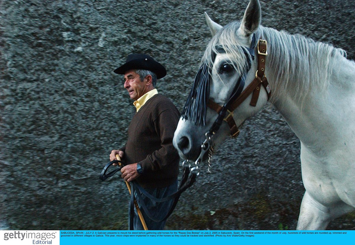 《The Horse Dealer's Daughter》读后感：爱的力量与希望