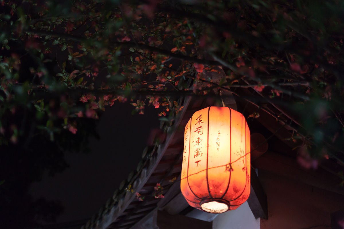 暮然回首那人却在灯火阑珊处。什么意思